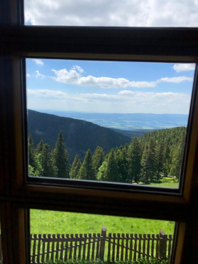 Apartament W Stroniu Stronie Śląskie Buitenkant foto